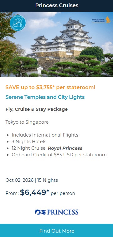 Serene Temples and City Lights