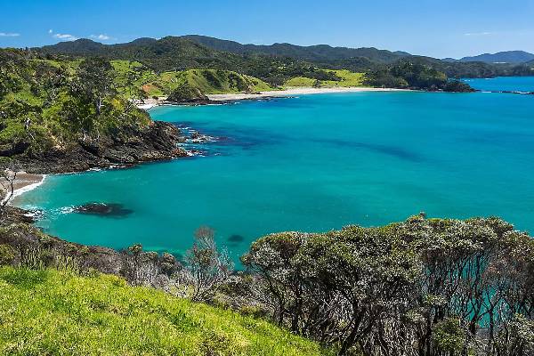 cruises to New Zealand