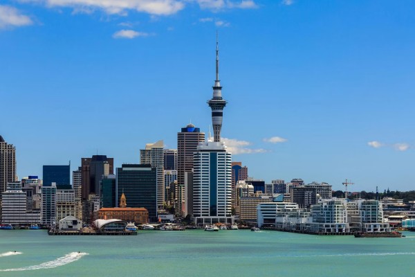 cruises from Auckland