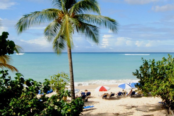 cruises from Barbados