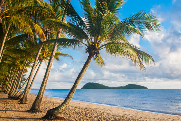 Cruises from Cairns